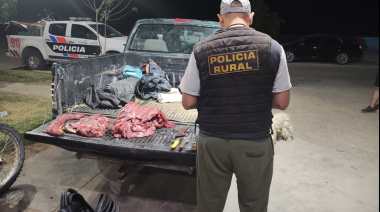 Tras un operativo en Jáchal, la Policía Rural interceptó una camioneta con carne de guanaco y motos adulteradas en Albardón