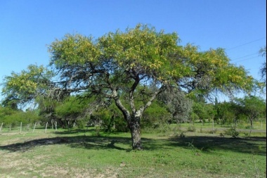 Taller Participativo para la Segunda Actualización del Ordenamiento Territorial de Bosques Nativos en Huaco