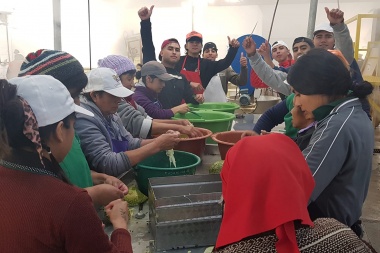 La Escuela Videla Cuello promovió una jornada de aprendizaje interinstitucional con la elaboración de dulce de alcayota
