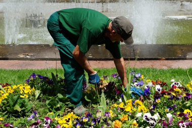 Dedicarle tiempo a la jardinería y a 'matear' trae grandes beneficios para la salud sostienen los expertos