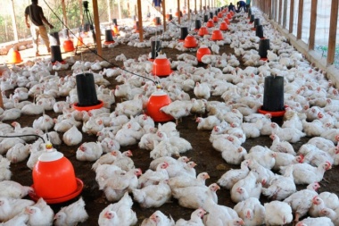 China reportó y confirmó el primer caso de gripe aviar H3N8 en humanos