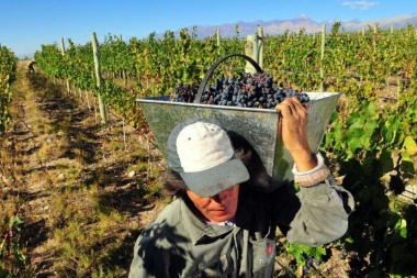 Los gobiernos de San Juan y Mendoza resolvieron firmar por un 12% el acuerdo vitivinícola