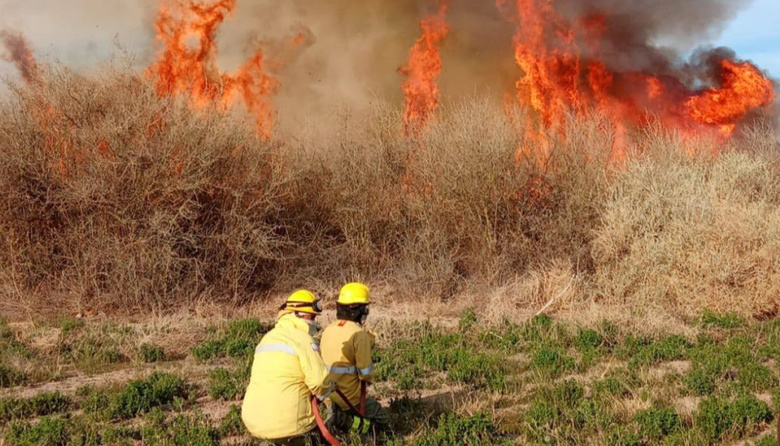 La rápida intervención de bomberos logró controlar un incendio de pasturas en San Isidro de Jáchal