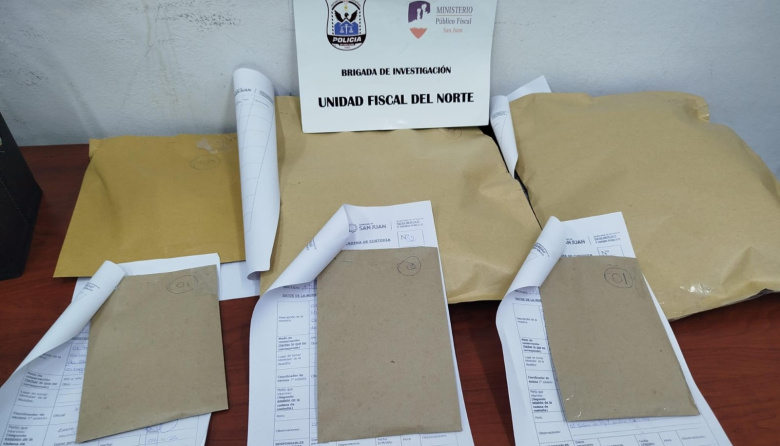 La UFI del Norte inició una investigación de oficio por el video del puma atacado por perros, con complicidad de personas