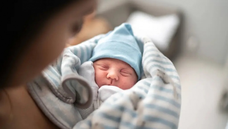 La tasa de natalidad cayó 40% y los hogares sin hijos ya son mayoría en la República Argentina