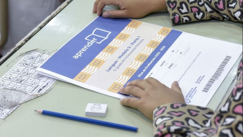 Preocupantes resultados de Aprender 2024: Solo el 14,2% de los estudiantes logró nivel satisfactorio en Matemática
