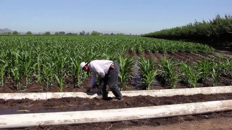 Hubo errores en el canon de riego cobrado a productores de Jáchal y extienden el plazo de pago hasta el 10 de agosto