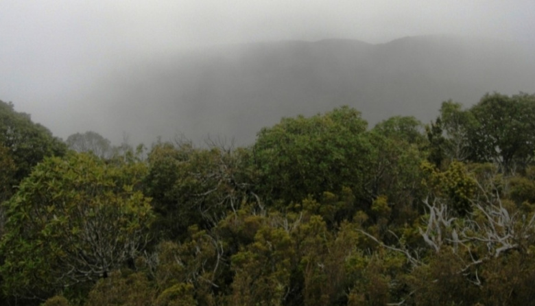 El Servicio Meteorológico Nacional emitió una alerta amarilla por tormentas para la Precordillera de Jáchal e Iglesia