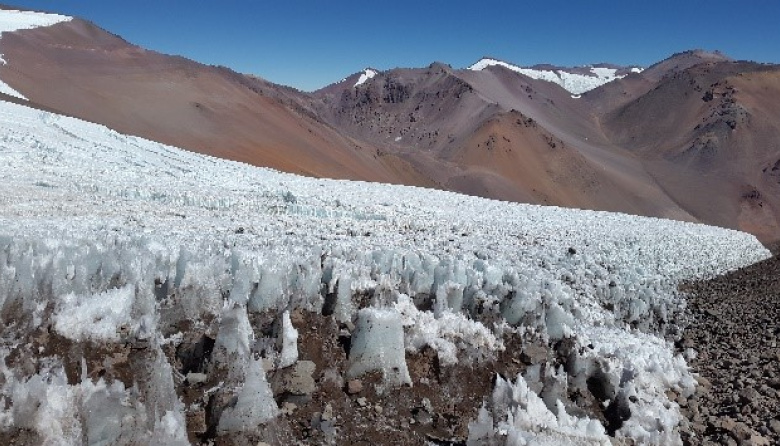 La organización Greenpeace pidió una medida cautelar para garantizar la participación oral de 100 mil inscriptos