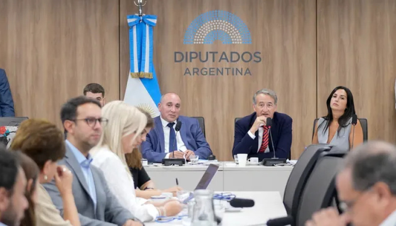 Ley de Glaciares: la Justicia denegó el pedido de extender las audiencias para que puedan participar todos los inscriptos