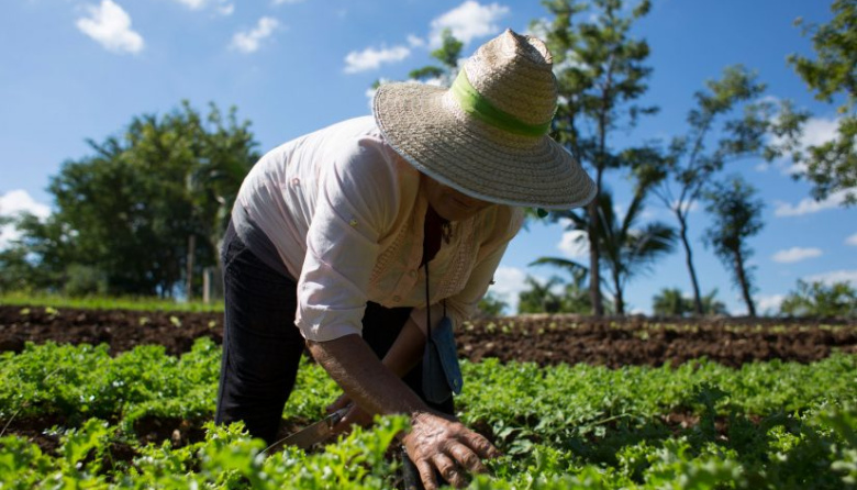 Operativo en Gran China: Impulsan la inscripción al RUPA con asesoramiento gratuito para los productores de Jáchal