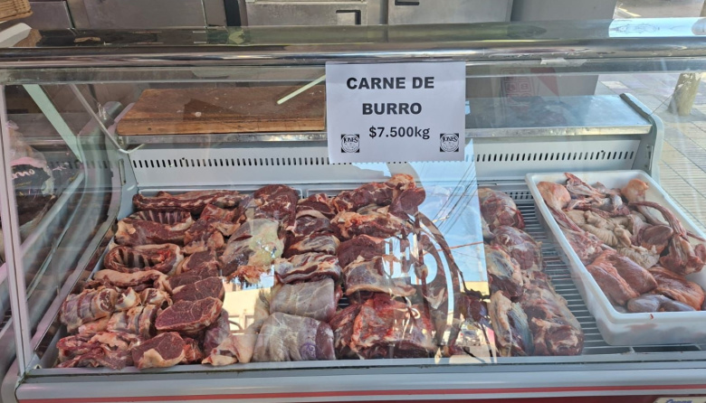 En medio del debate por el consumo de carne de burro, investigan un caso de faena clandestina en 25 de Mayo