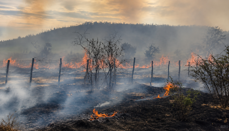 Un incendio arrasó aproximadamente tres hectáreas en Jáchal y tres hombres fueron aprehendidos como posibles autores