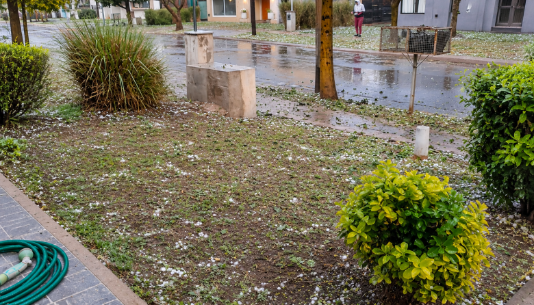 Una fuerte tormenta con lluvia, viento y granizo sorprendió a los vecinos de Iglesia y generó preocupación por posibles daños