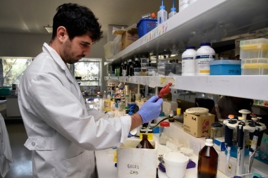 La vacuna argentina contra la covid-19, cada vez más cerca de ser aplicada
