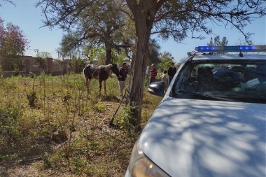 Un joven de 19 años sufrió importantes lesiones tras caer de un equino en Gran China
