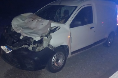 Un vehículo colisionó a un vacuno que se atravesó en la RN 40, en cercanía de la Mina Gualcamayo