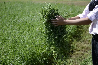 Brindarán una importante capacitación para los productores que cultivan forrajes en Jáchal