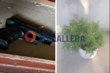 Fueron a detener a una persona por amenazas, le incautaron armas y una planta de marihuana en Jáchal
