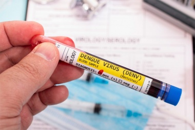 Por el aumento de casos de dengue en San Juan, advierten posibles picos de contagio en marzo y abril