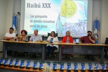 Presentaron el Video-Libro “Jáchal-Caucete Haikús” en la Cámara de Diputados de San Juan