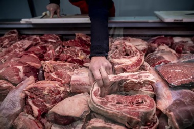 El consumo de carne vacuna está en su nivel más bajo en 28 años y no habría mejoras en el corto plazo