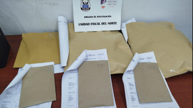 La UFI del Norte inició una investigación de oficio por el video del puma atacado por perros, con complicidad de personas