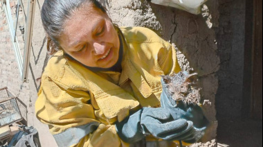 Bomberos Voluntarios de Jáchal rescataron a un gatito que había quedado atrapado en un caño en Villa Mercedes