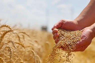 Según la FAO y en medio de la guerra comercial, el precio mundial de los alimentos subió 7,6% anual en abril