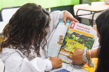 Prueba Aprender: Solo el 45% de los alumnos de tercer grado alcanza el nivel esperado en lectura