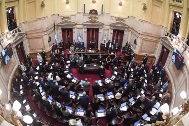 Senadores confirmaron la sesión por Ficha Limpia y agregaron la declaración de emergencia para Bahía Blanca