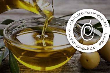 La provincia obtuvo la indicación geográfica “Aceite de Oliva Virgen Extra de San Juan"
