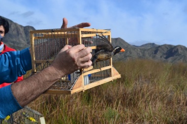 Condenan a un hombre por caza ilegal de fauna silvestre en Huaco a dos meses de prisión de cumplimiento condicional