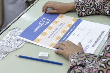 Preocupantes resultados de Aprender 2024: Solo el 14,2% de los estudiantes logró nivel satisfactorio en Matemática