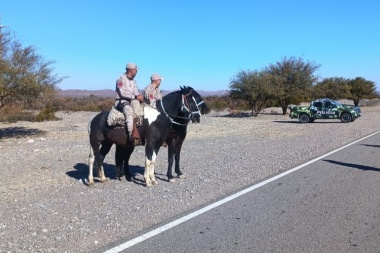 La Policía Rural realizó controles de animales sueltos en rutas de Jáchal, efectuó multas y secuestró de caprinos y equinos