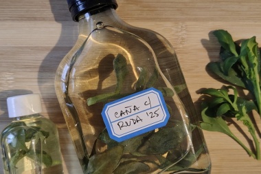La tradición ancestral de tomar caña con ruda el 1 de agosto para espantar los males, atraer salud y la prosperidad