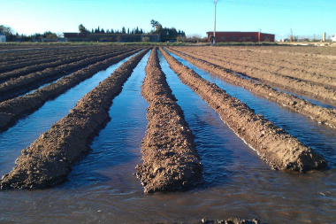 Hidráulica de San Juan cortó el agua de riego a productores morosos y recuperaron casi $500 millones en pocos días