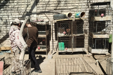 Dos allanamientos en 25 de Mayo y Caucete terminaron con detenciones y secuestro de animales, drogas y arma de fuego
