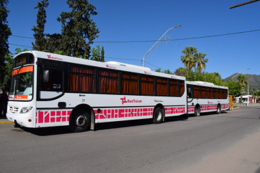 El Certificado Único de Discapacidad será desde ahora el nuevo “pase libre” para el transporte público de corta distancia