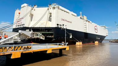 Llegó a la Argentina el barco chino de la polémica y descargó aproximadamente unos 5.800 autos híbridos y eléctricos