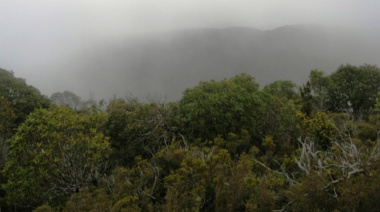 El Servicio Meteorológico Nacional emitió una alerta amarilla por tormentas para la Precordillera de Jáchal e Iglesia