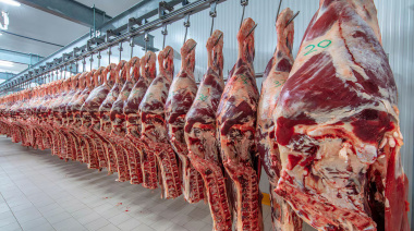 La carne volvió a registrar fuertes aumentos y la tendencia alcista podría extenderse al menos durante los próximos dos años