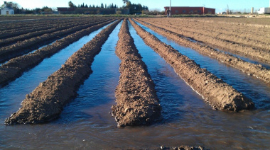 Productores de Jáchal iniciaron un extenso cronograma de cortes de agua, para obtener el recurso en los meses más críticos