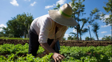 Operativo en Gran China: Impulsan la inscripción al RUPA con asesoramiento gratuito para los productores de Jáchal