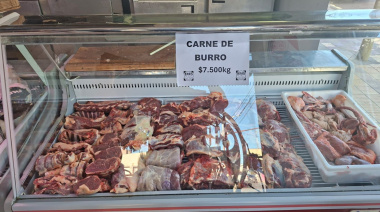 En medio del debate por el consumo de carne de burro, investigan un caso de faena clandestina en 25 de Mayo