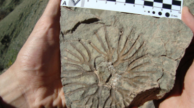 Jáchal se proyecta al mundo con una jornada sobre los mares del Paleozoico y el camino hacia el Geoparque de la UNESCO