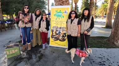 El Hogar Animal de Jáchal realizará un sorteo solidario para recaudar fondos y asistir a mascotas abandonadas y maltratadas