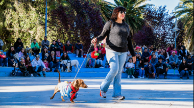 Jáchal vivió una multitudinaria jornada por el Día del Animal con desfile de mascotas, vacunación gratuita y actividades para la familia