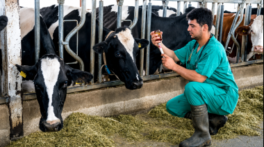 Gran China será sede de una capacitación destinada a productores caprinos y ovinos sobre sanidad animal y uso de botiquines