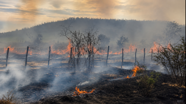 Un incendio arrasó aproximadamente tres hectáreas en Jáchal y tres hombres fueron aprehendidos como posibles autores
